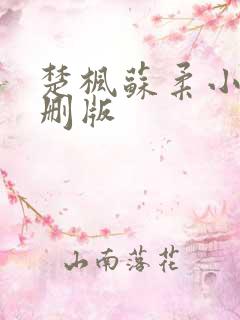 楚枫苏柔小说未删版