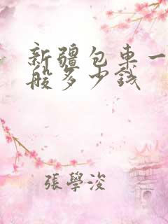 新疆包车一天一般多少钱