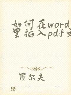 如何在word里插入pdf文件