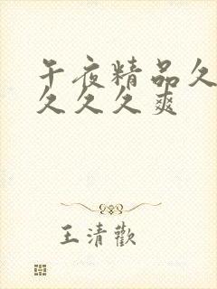 午夜精品久久久久久久爽