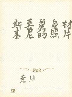 斯嘉丽身材穿比基尼的照片