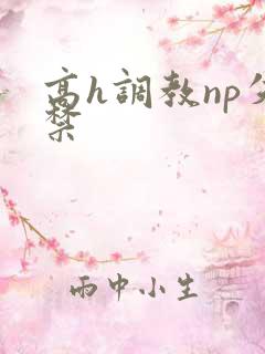 高h调教np失禁