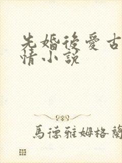 先婚后爱古代言情小说
