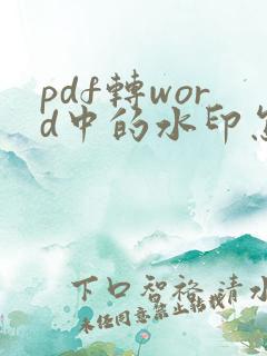 pdf转word中的水印怎么去除