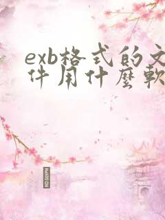 exb格式的文件用什么软件打开