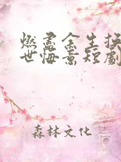 燃尽余生换你一世悔意短剧20集播放