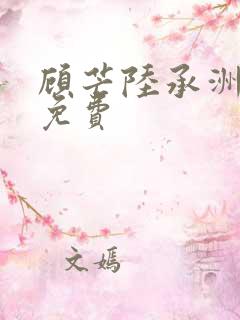顾芒陆承洲全文免费
