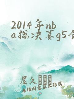 2014年nba总决赛g5全场回放