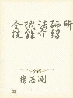 全职法师所有系技能介绍