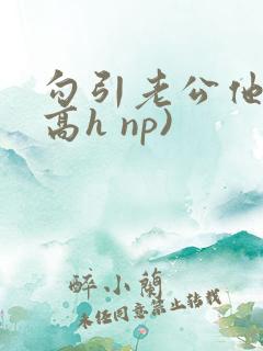 勾引老公他哥(高h np)