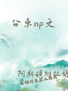 公车np文