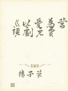 《以爱为营》电视剧免费