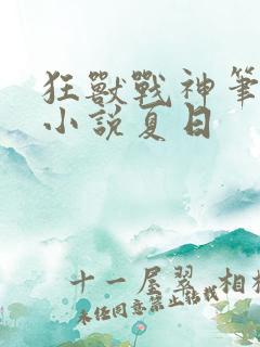 狂兽战神笔趣阁小说夏日