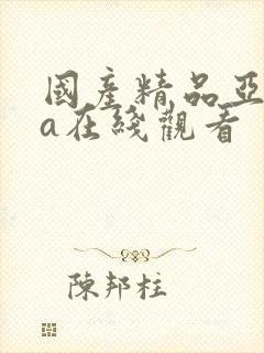 国产精品亚洲va在线观看