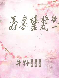 怎么样将几个pdf合并成一个压缩文件