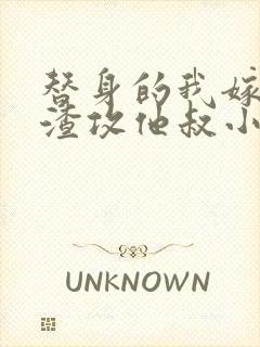 替身的我嫁给了渣攻他叔小说