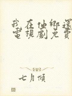 我在他乡还好吗电视剧免费观看在线