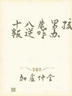 十八岁男孩厌学叛逆咋办