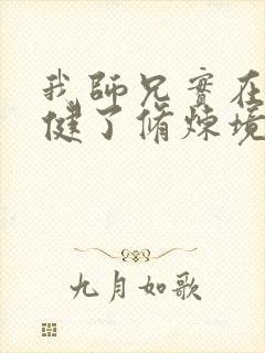 我师兄实在太稳健了修炼境界