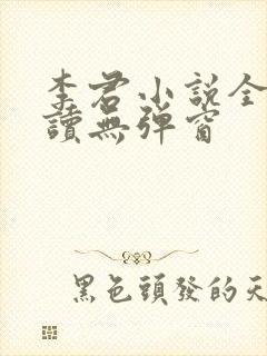 李君小说全文阅读无弹窗
