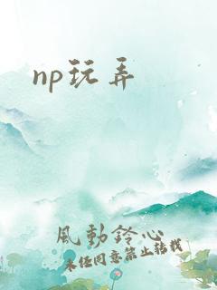 np玩弄
