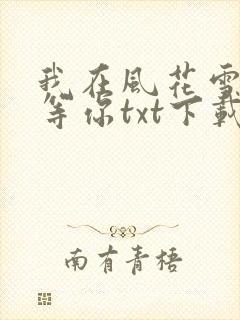 我在风花雪月里等你txt下载全文