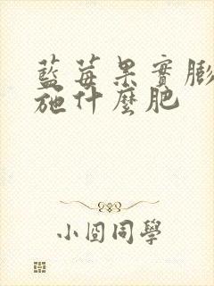 蓝莓果实膨大期施什么肥