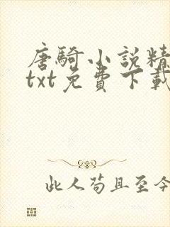 唐骑小说精校版txt免费下载