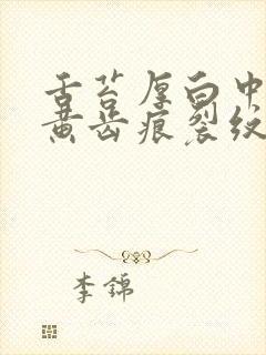 舌苔厚白中间有黄齿痕裂纹