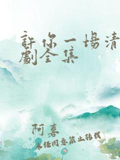 许你一场清欢短剧全集