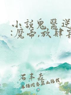 小说鬼医逆天妃:魔帝,放肆宠