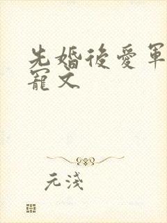 先婚后爱军婚甜宠文
