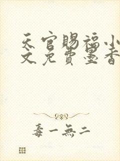 天官赐福小说全文免费墨香铜臭