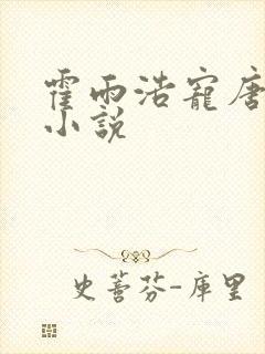 霍雨浩宠唐舞桐小说