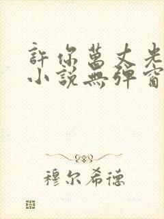 许你万丈光芒好小说无弹窗无广告
