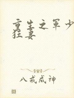 重生之军少枭宠狂妻
