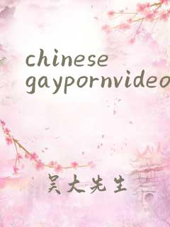 chinesegaypornvideo