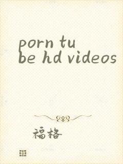 porn tube hd videos