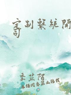 定制系统开发公司