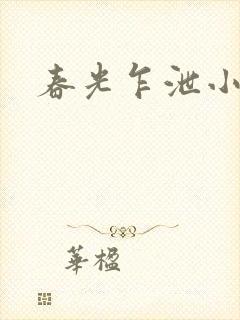 春光乍泄小说