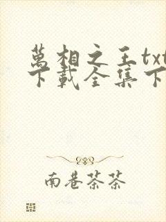 万相之王txt下载全集下载