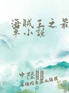 海贼王之最强海军小说