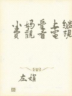 小妈爱上继子免费观看电视剧完整版