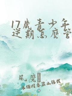 17岁青少年叛逆期怎么管教最合适男孩