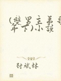 (双男主弟哥,年下)小说