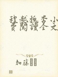 程越魏杳小说免费阅读全文无弹窗