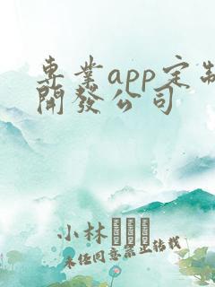 专业app定制开发公司