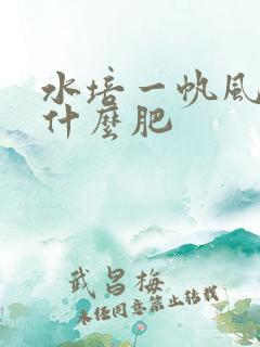 水培一帆风顺施什么肥