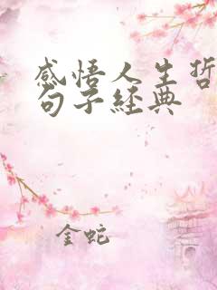感悟人生哲理的句子经典
