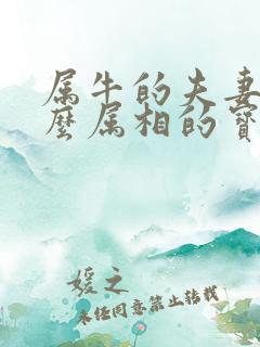 属牛的夫妻生什么属相的宝宝好